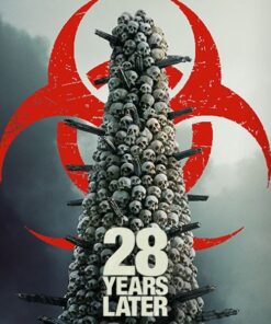 28 nam sau hau tan the