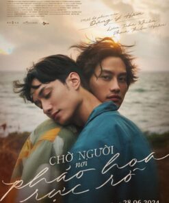 Cho nguoi noi phao hoa ruc ro