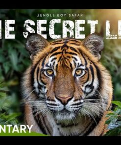 nhung sinh vat hoang da