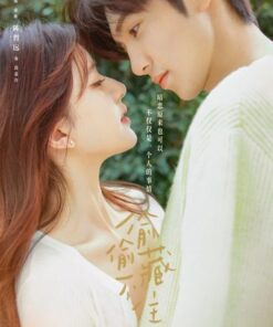 vung trom khong the giau hua hen