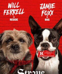 Nhung chu cho bui doi