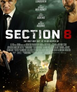 Section 8