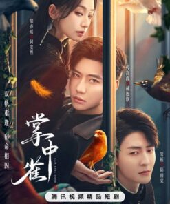 Chim se trong long ban tay