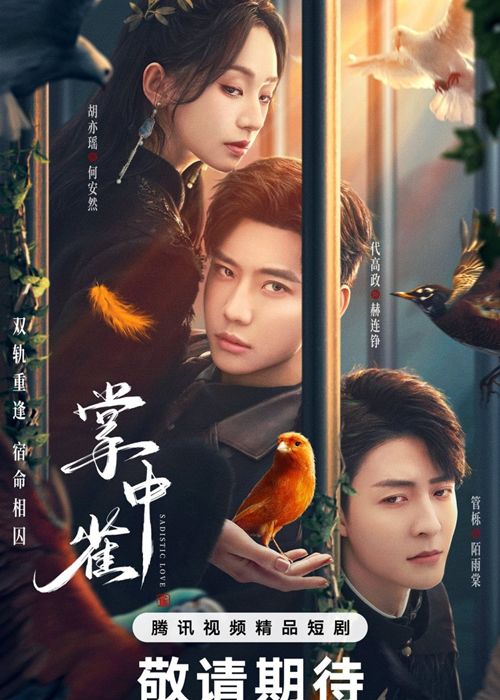 Chim se trong long ban tay