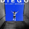 Diego The Last Goodbye