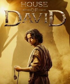 Vuong quyen David phan 2