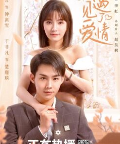 Co le toi da yeu roi