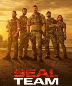 seal team 7