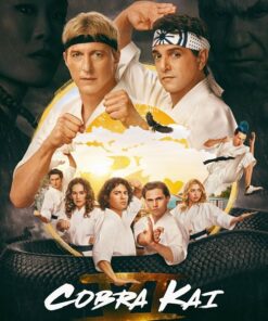 vo duong cobra kai 6