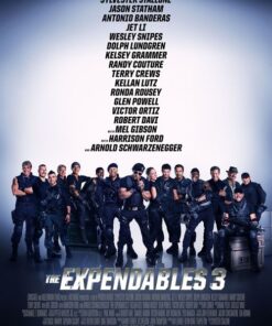 biet doi danh thue 3