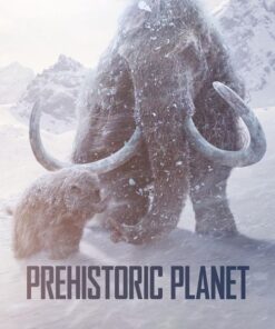 Hanh trinh thoi tien su 3